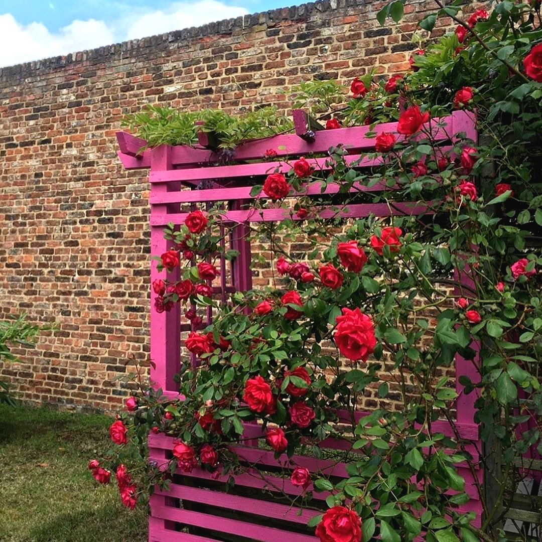 Беседка из деревянной решетки - фото 2