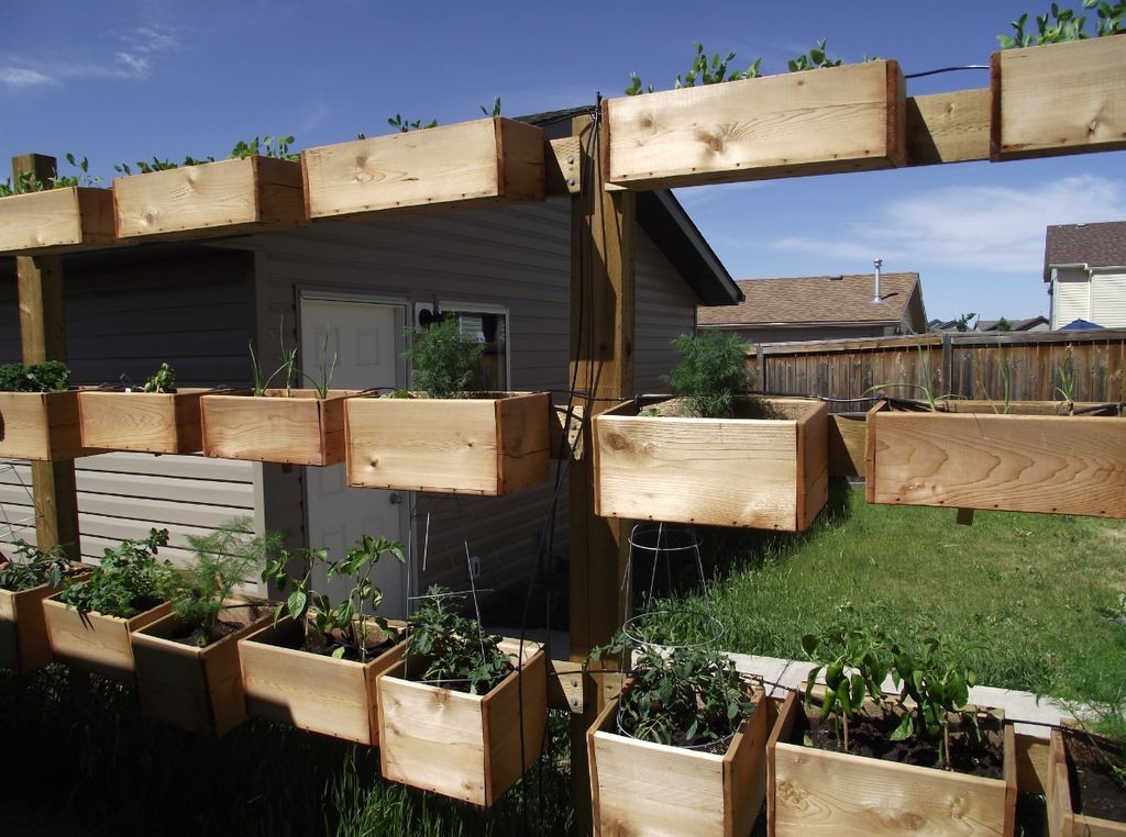 Вертикальный сад на заборе - фото 9