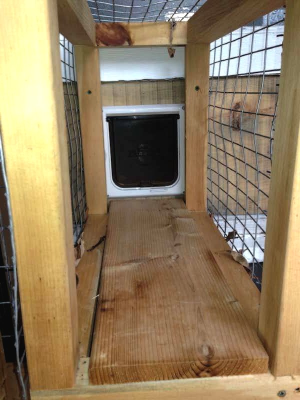 Дачный домик для кошки - фото 7