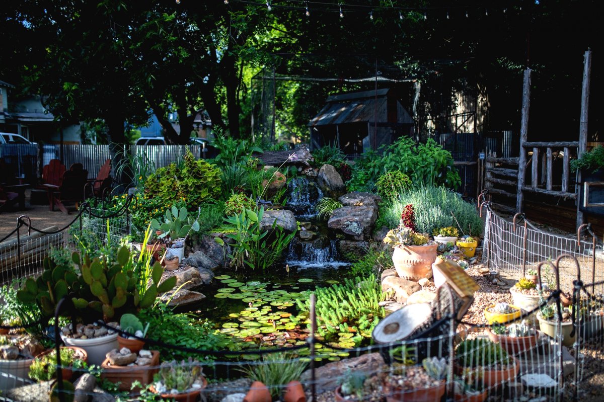 Небольшой пруд для дачи - фото 9