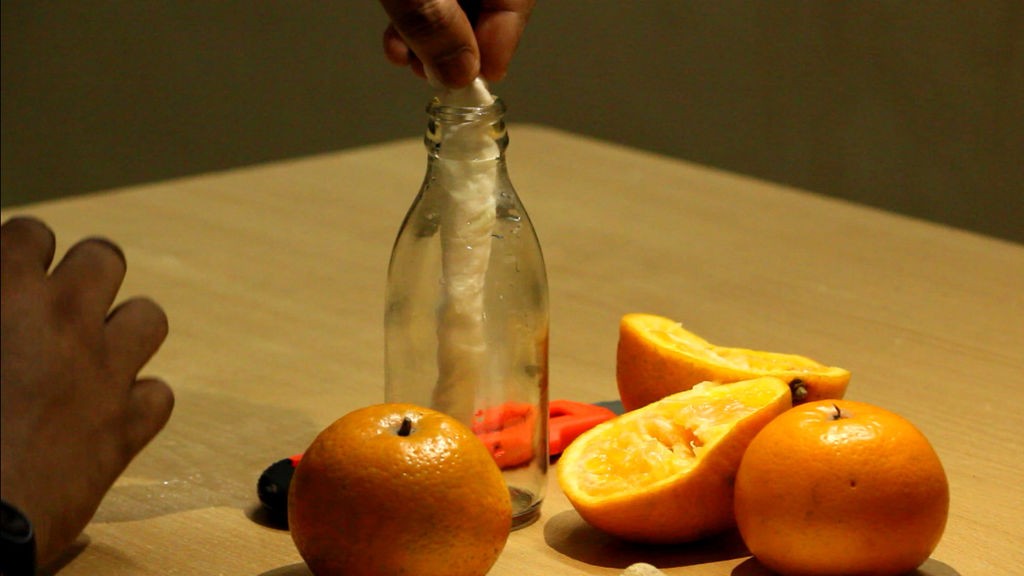 Как вырастить апельсиновое дерево из семян - фото 10