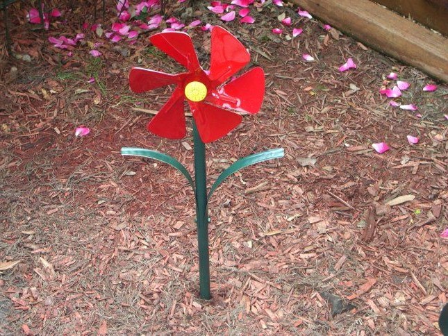 Цветы, которые не нуждаются в уходе - фото 5