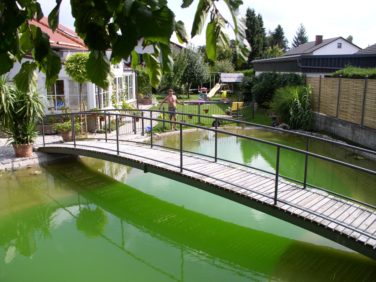 Пруд с мостом через него - фото 14