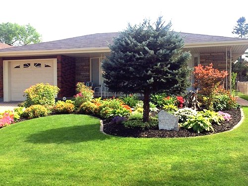 Улучшаем участок перед домом  - фото 15