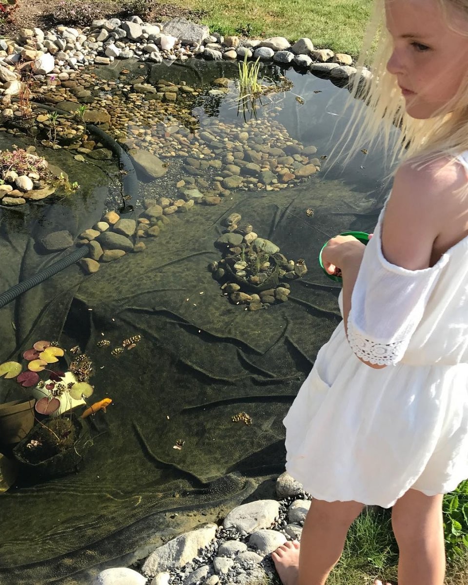 Пруд - фото 8