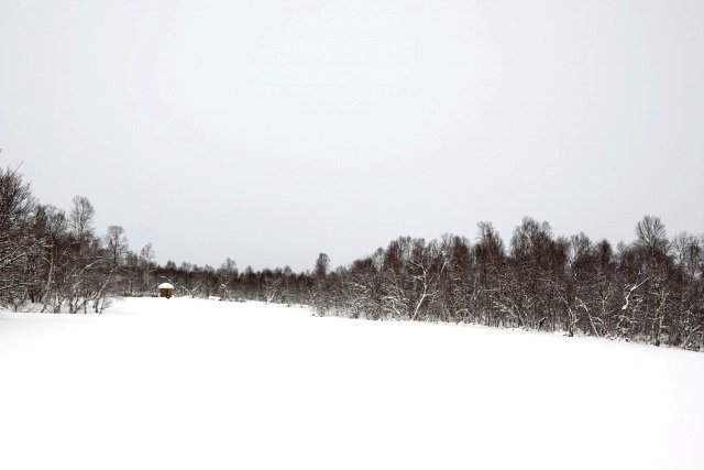 Дровяная горная сауна - фото 7