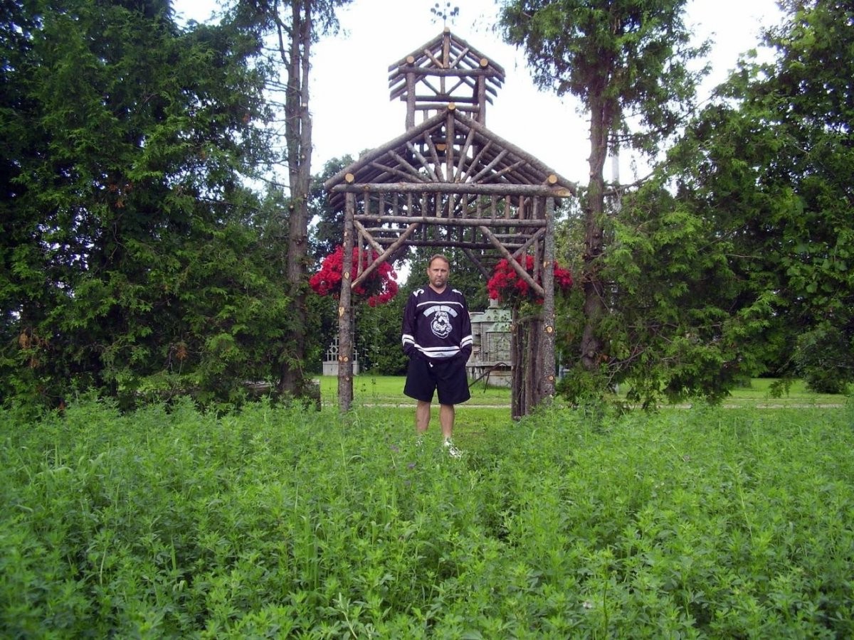 Беседка из стволов деревьев - фото 10