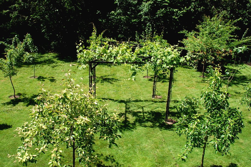 Пергола из железных профилей - фото 31