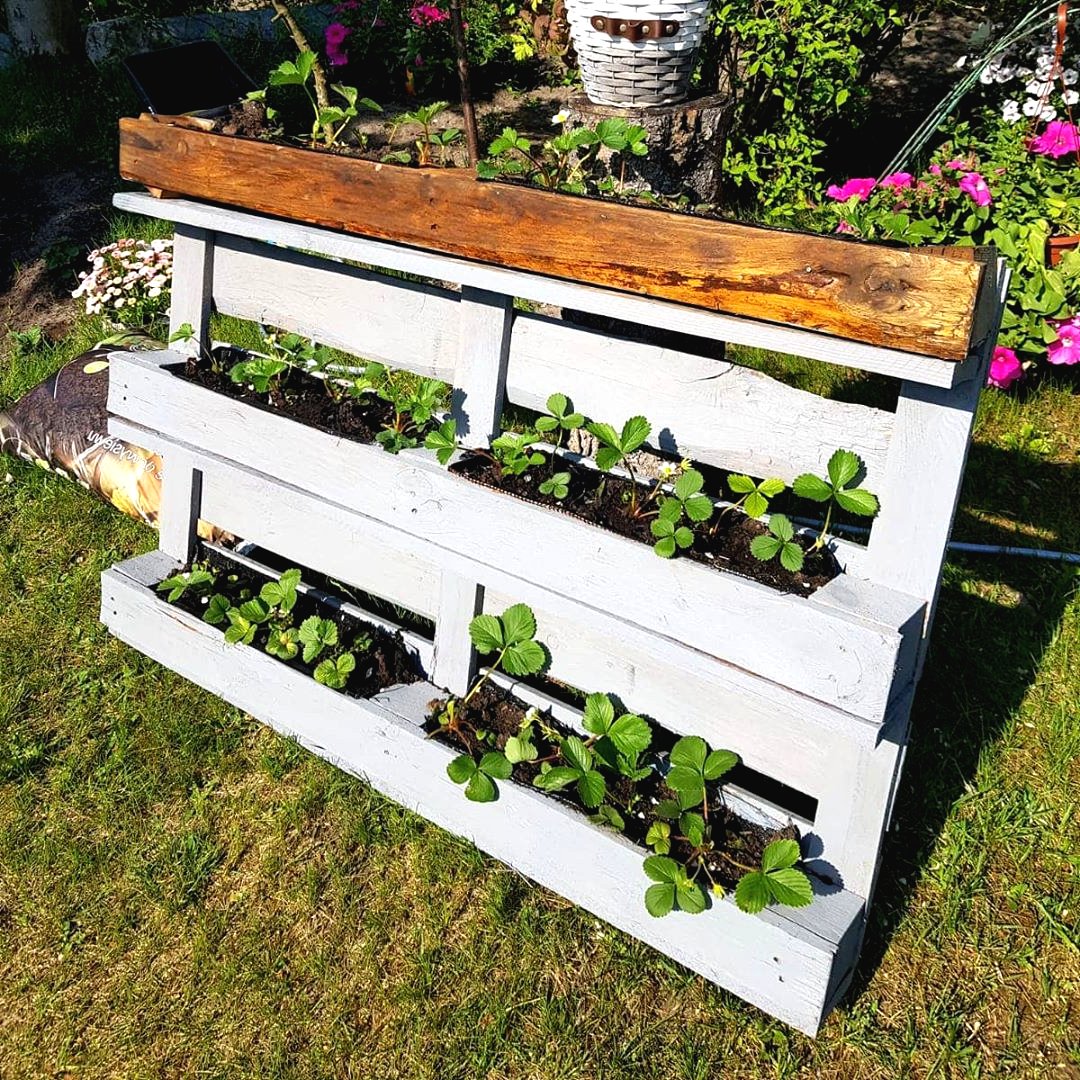 Оригинальные идеи для вертикального сада - фото 3