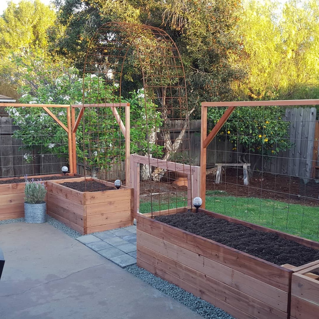 Садовая грядка - фото 3