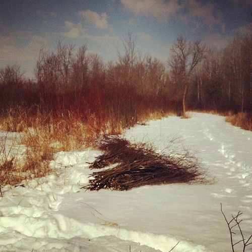 Беседка плетеная - фото 2