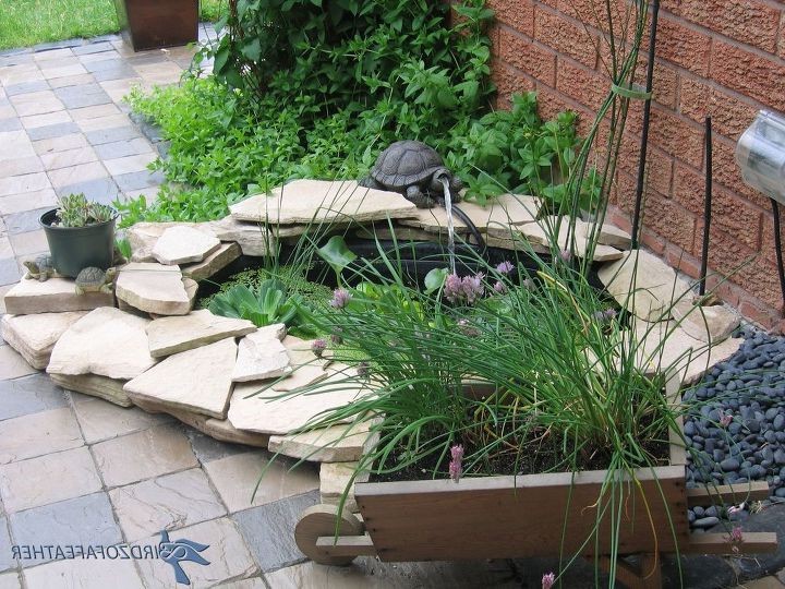 Небольшой пруд - фото 2