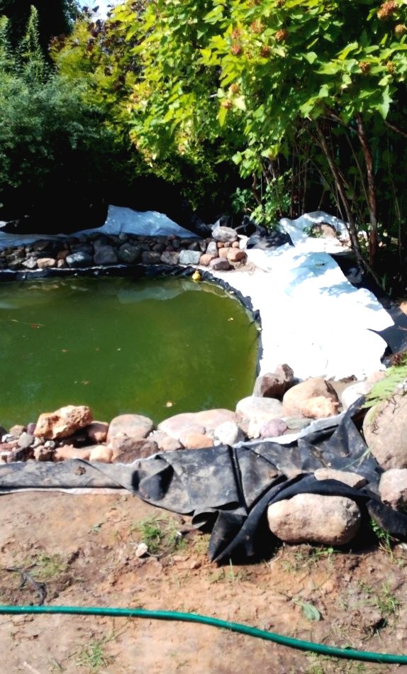 Пруд на дачном участке - фото 5