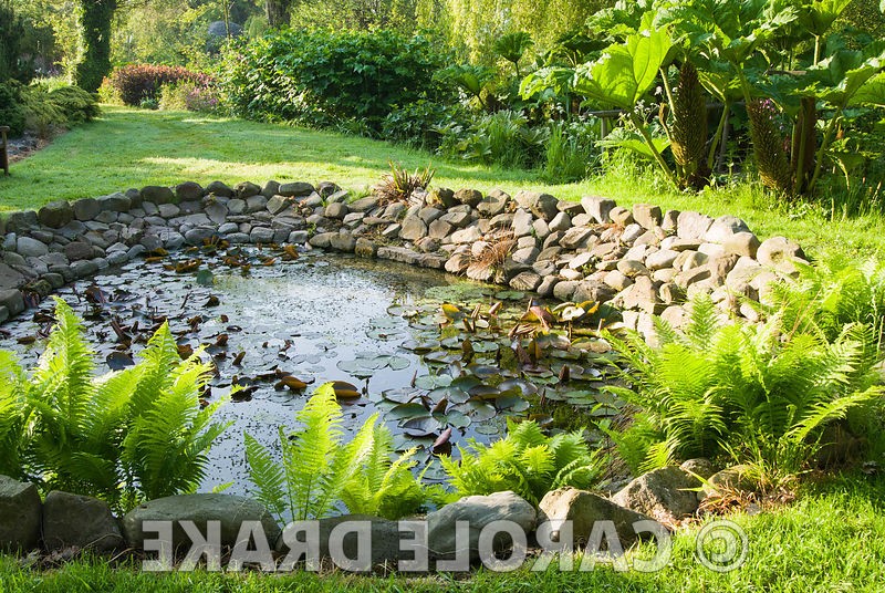 Сад в котором иглу из пустых бутылок вина - фото 15