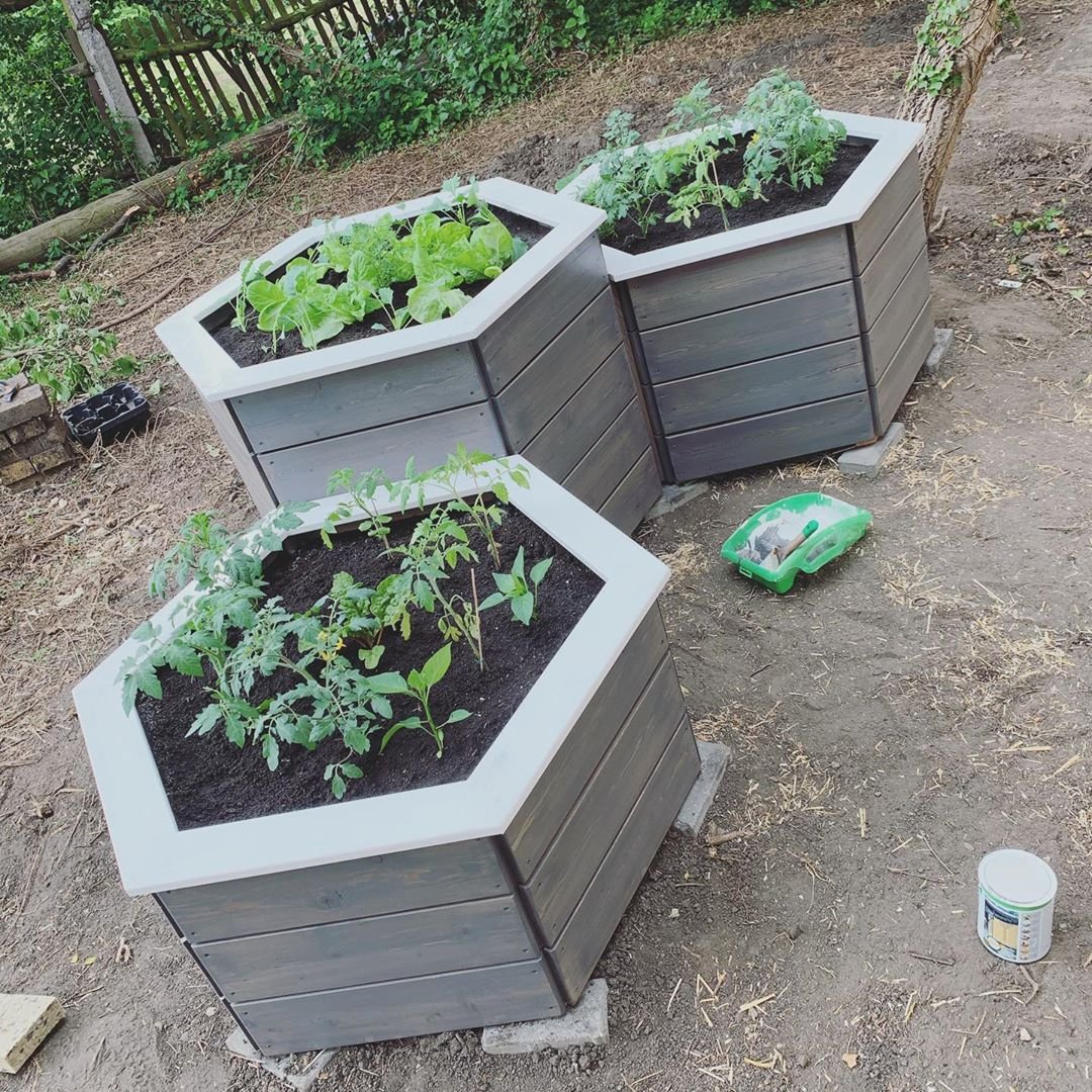 Высокая грядка из дерева - фото 21