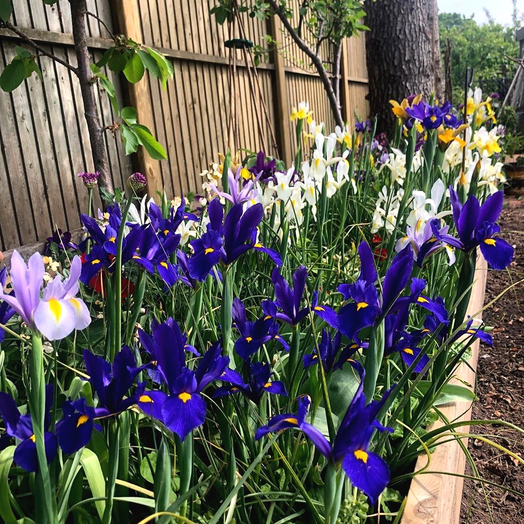 Необычное оформление огорода своими руками - фото 19