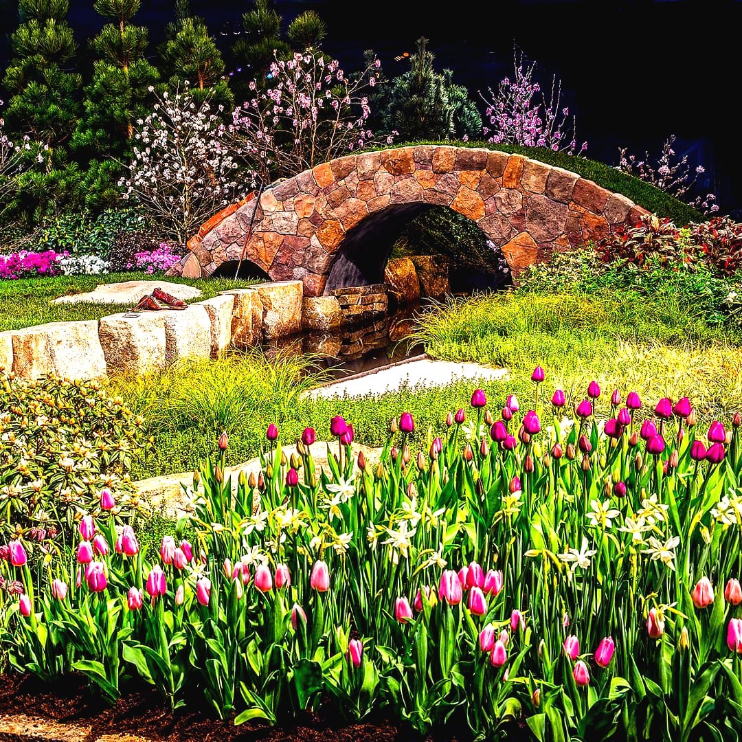 Пример ландшафтного дизайна небольшого участка - фото 3