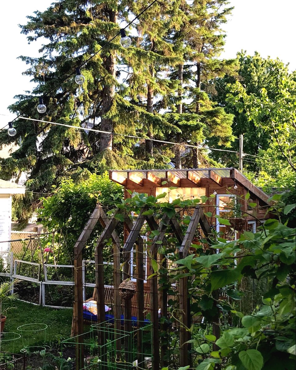 Красивая садовая арка из дерева и железной сетки - фото 2