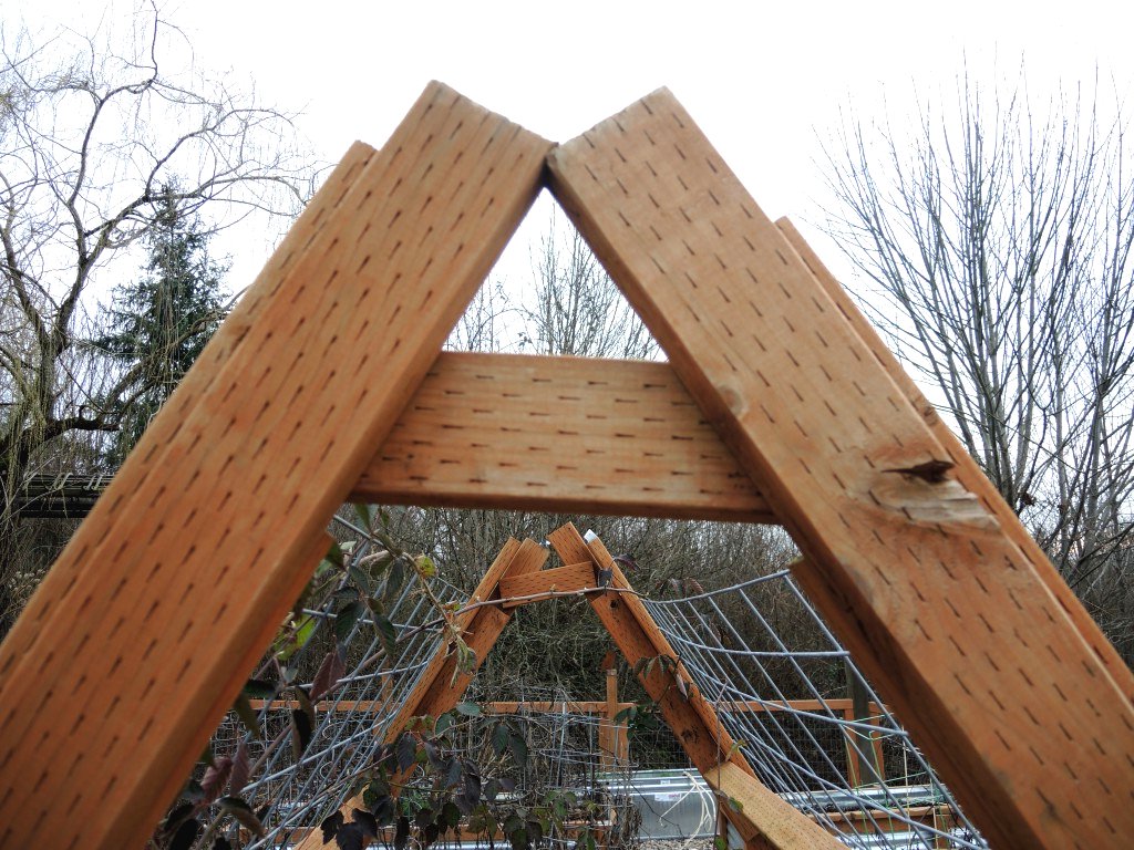 Грядки для огурцов и фасоли - фото 4