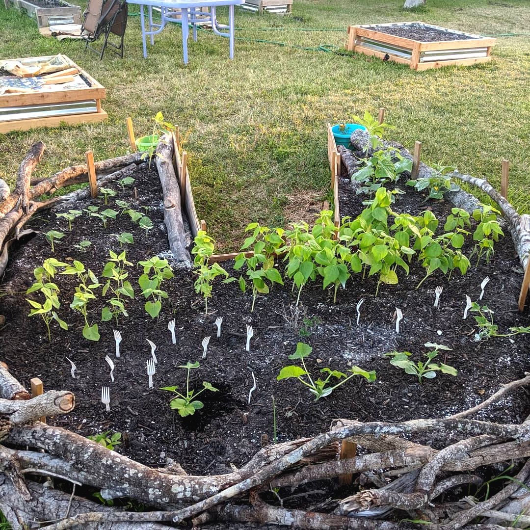 Грядка из спилов и веток - фото 8