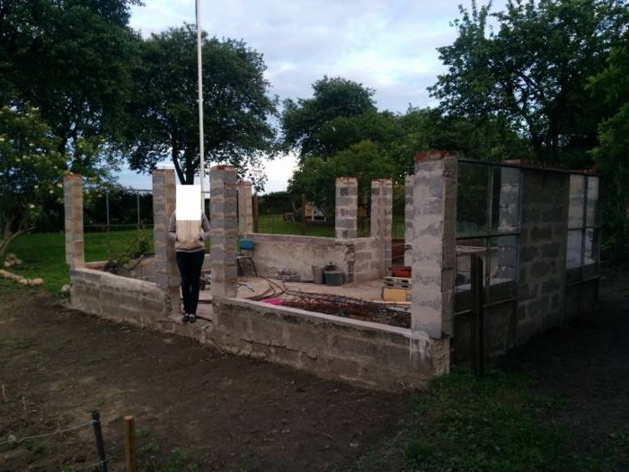 Оранжерея - фото 2