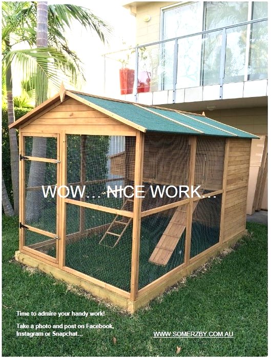 Курятник своими руками на 10 кур с выгулом - фото 12