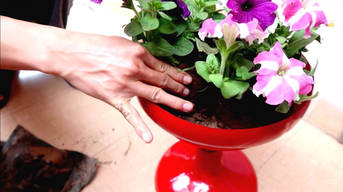 Горшок из пластиковой бутылки - фото 9