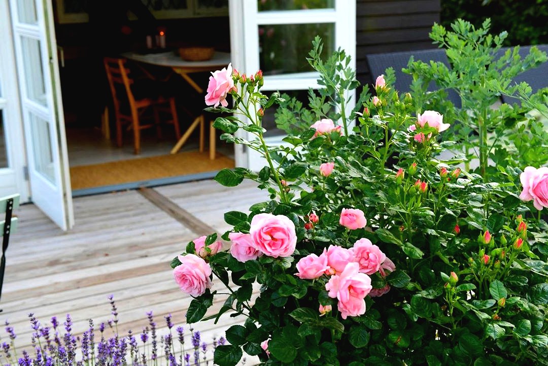 Ландшафтный дизайн небольшого сада - фото 2