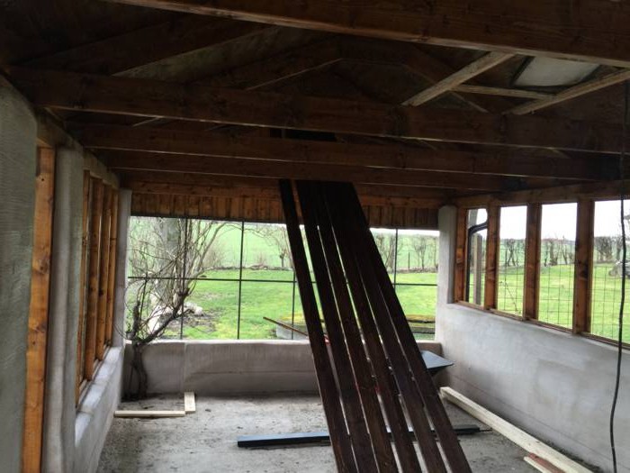 Оранжерея - фото 6