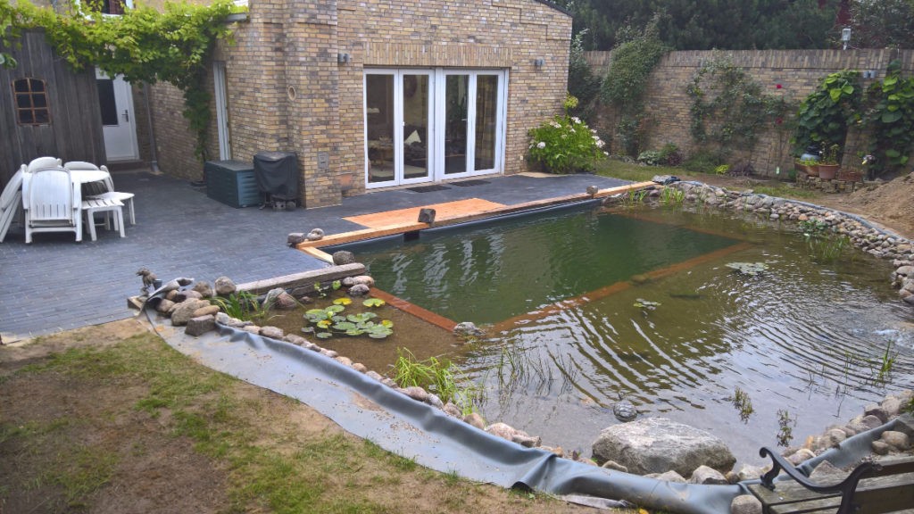 Бассейн + пруд - фото 14