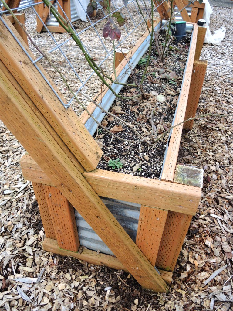 Грядки для огурцов и фасоли - фото 5