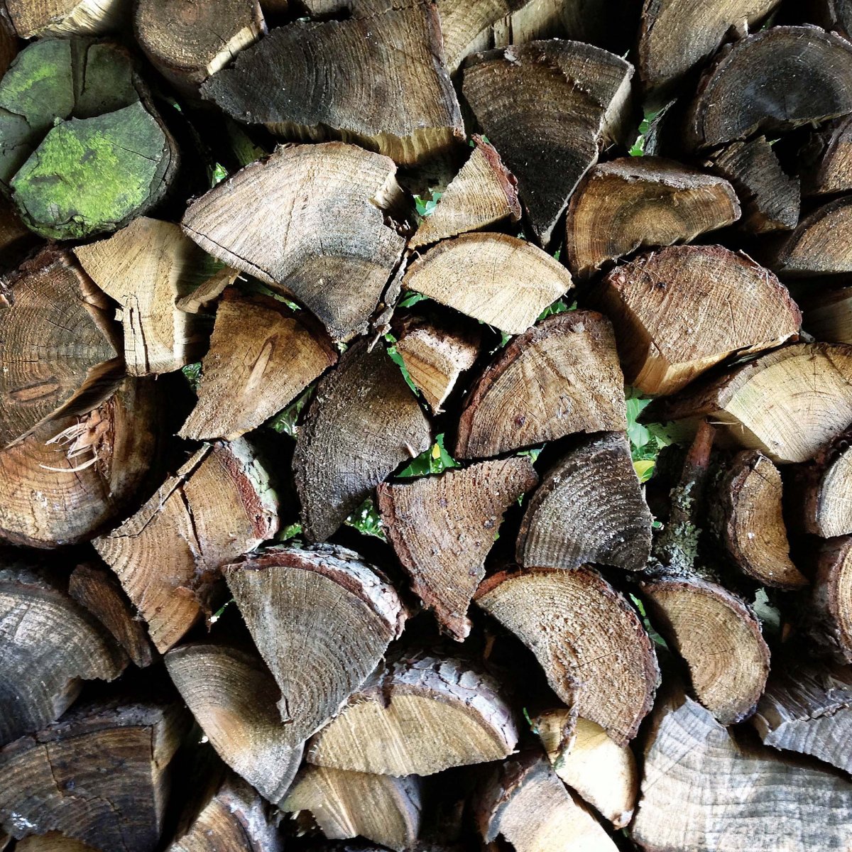 Необычный дровяник - беседка своими руками - фото 4