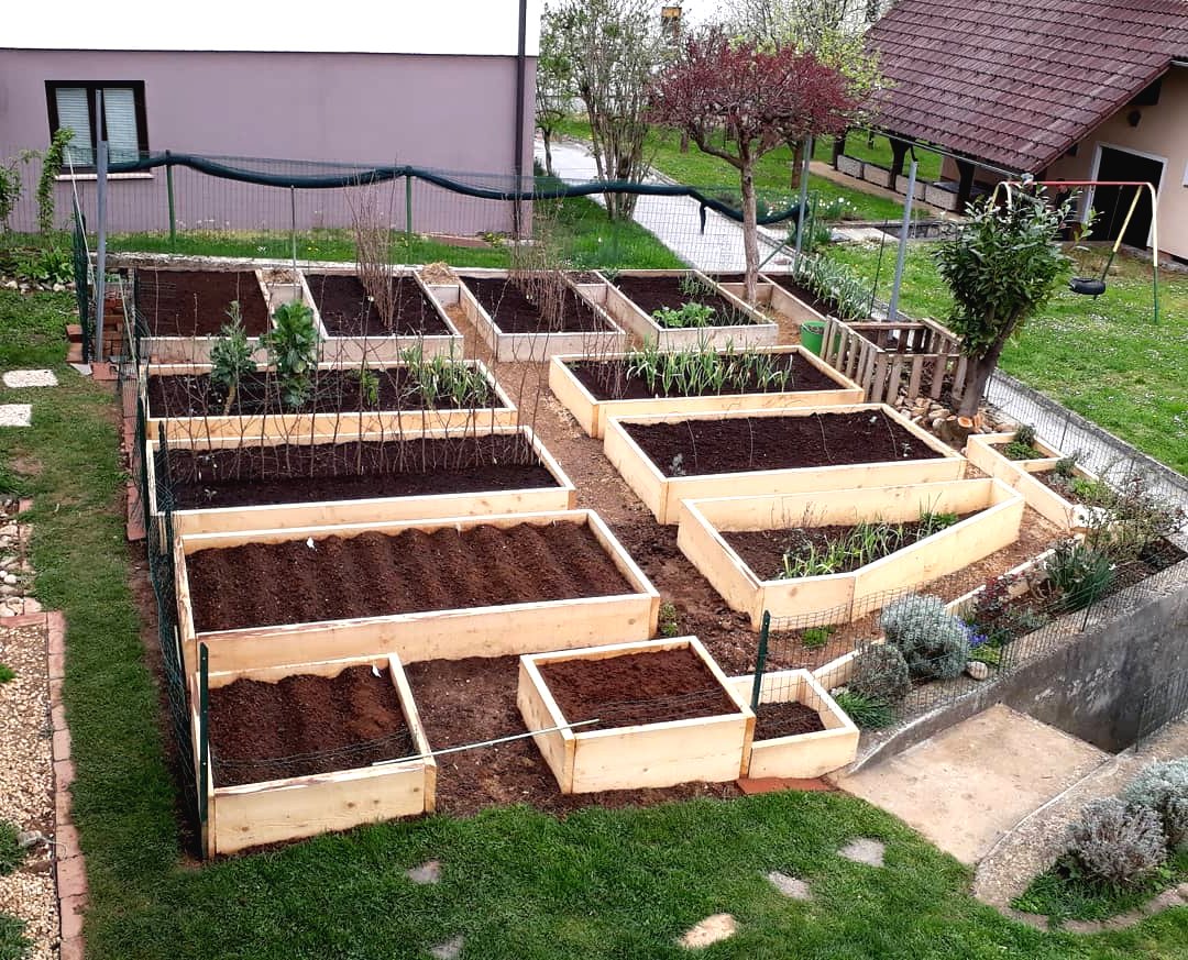 Маленький огород - фото 4