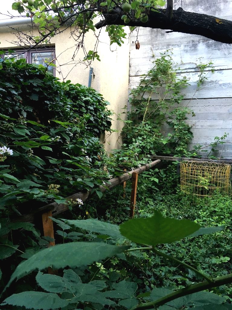 Шпалера из старой деревянной лестницы - фото 8