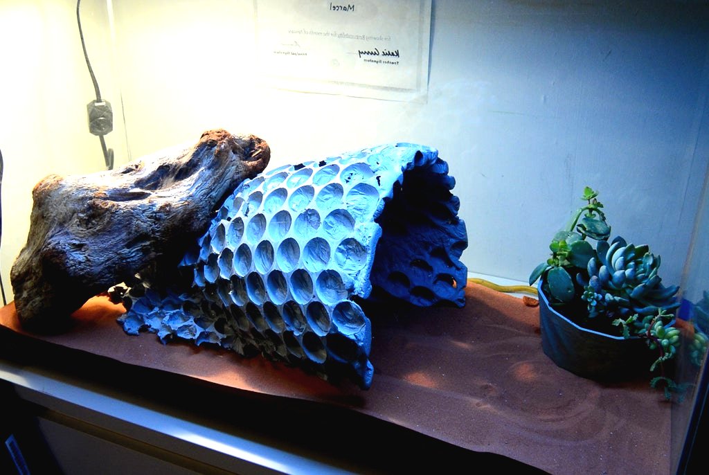 Как сделать пещеру своими руками в аквариум или террариум? - фото 18