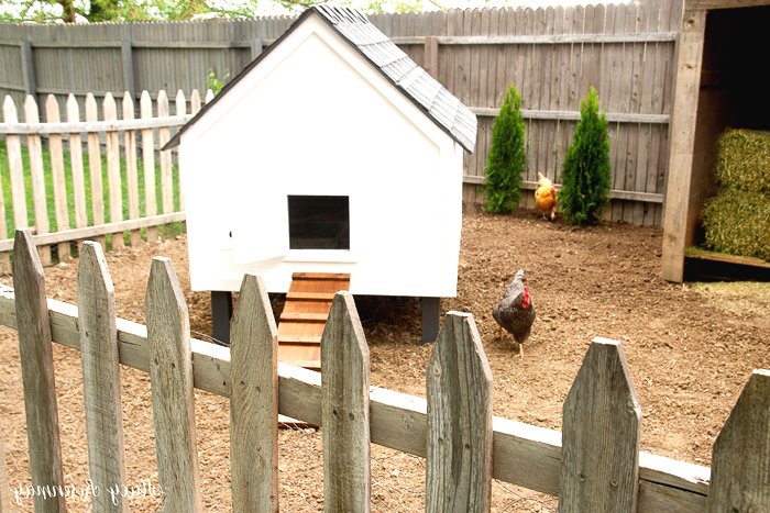 Небольшой курятник - фото 9