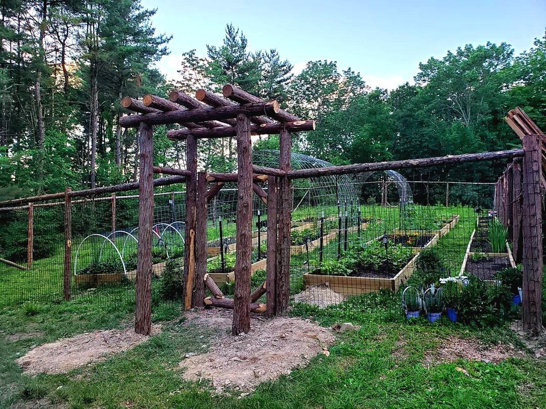 Пергола из стволов своими руками - фото 3