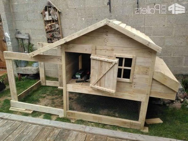 Курятник - фото 7