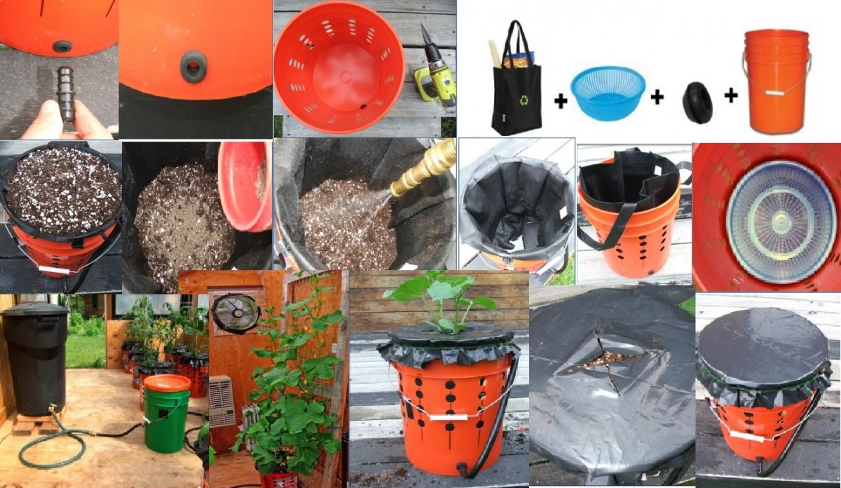 Контейнерное выращивание овощей с автоматической системой полива - фото 3