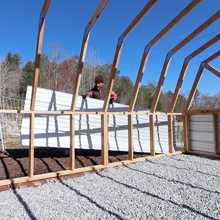 Теплица - фото 2