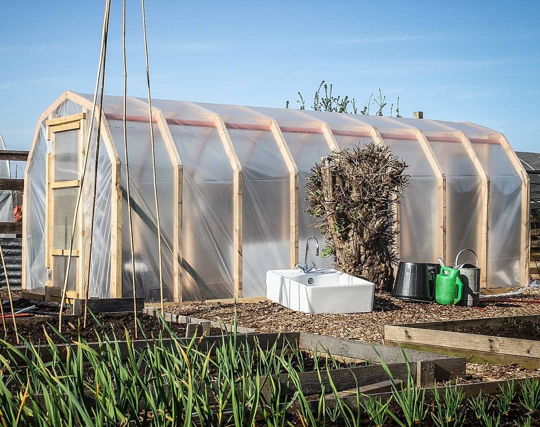 Теплица - фото 4