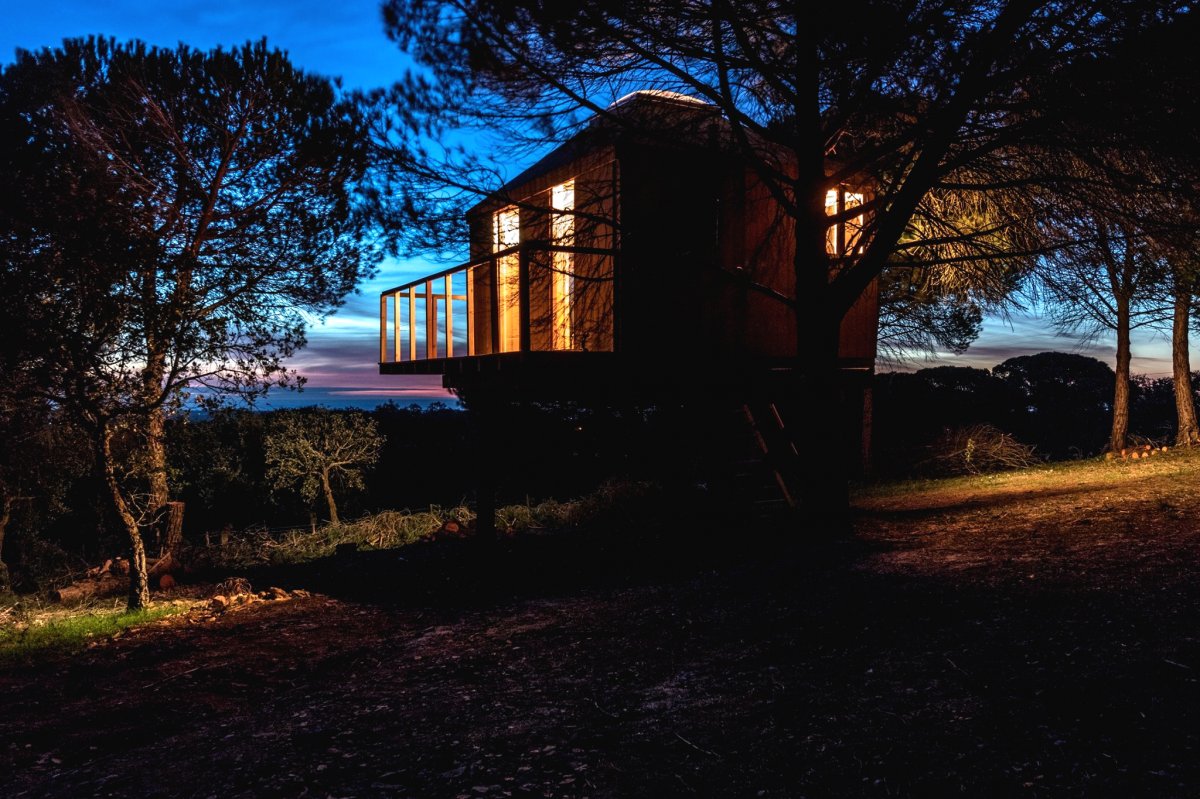 Домик на дереве своими руками - фото 17