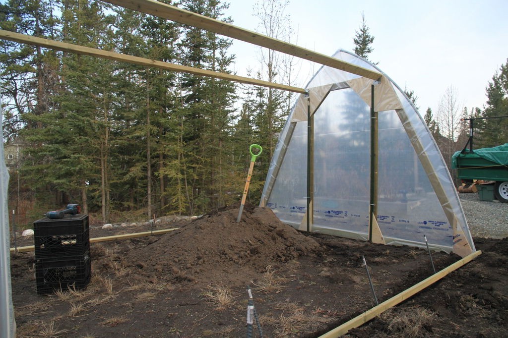 теплица - фото 5