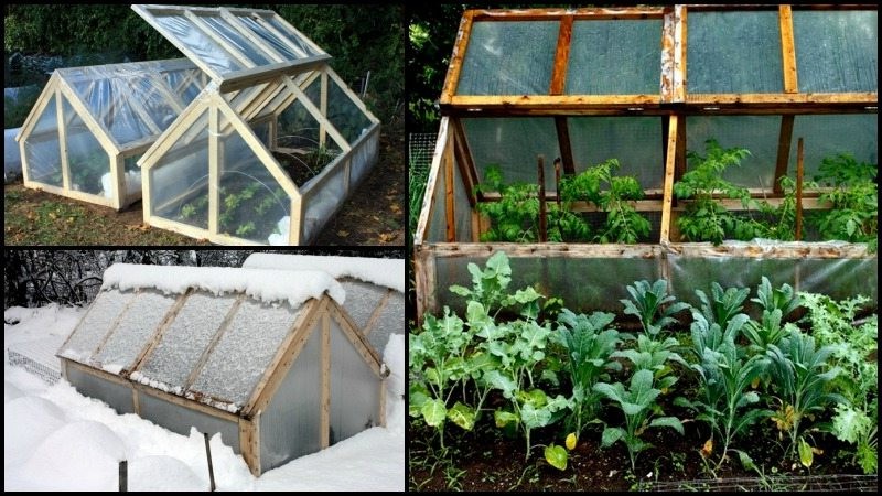 Мини-теплица - фото 2