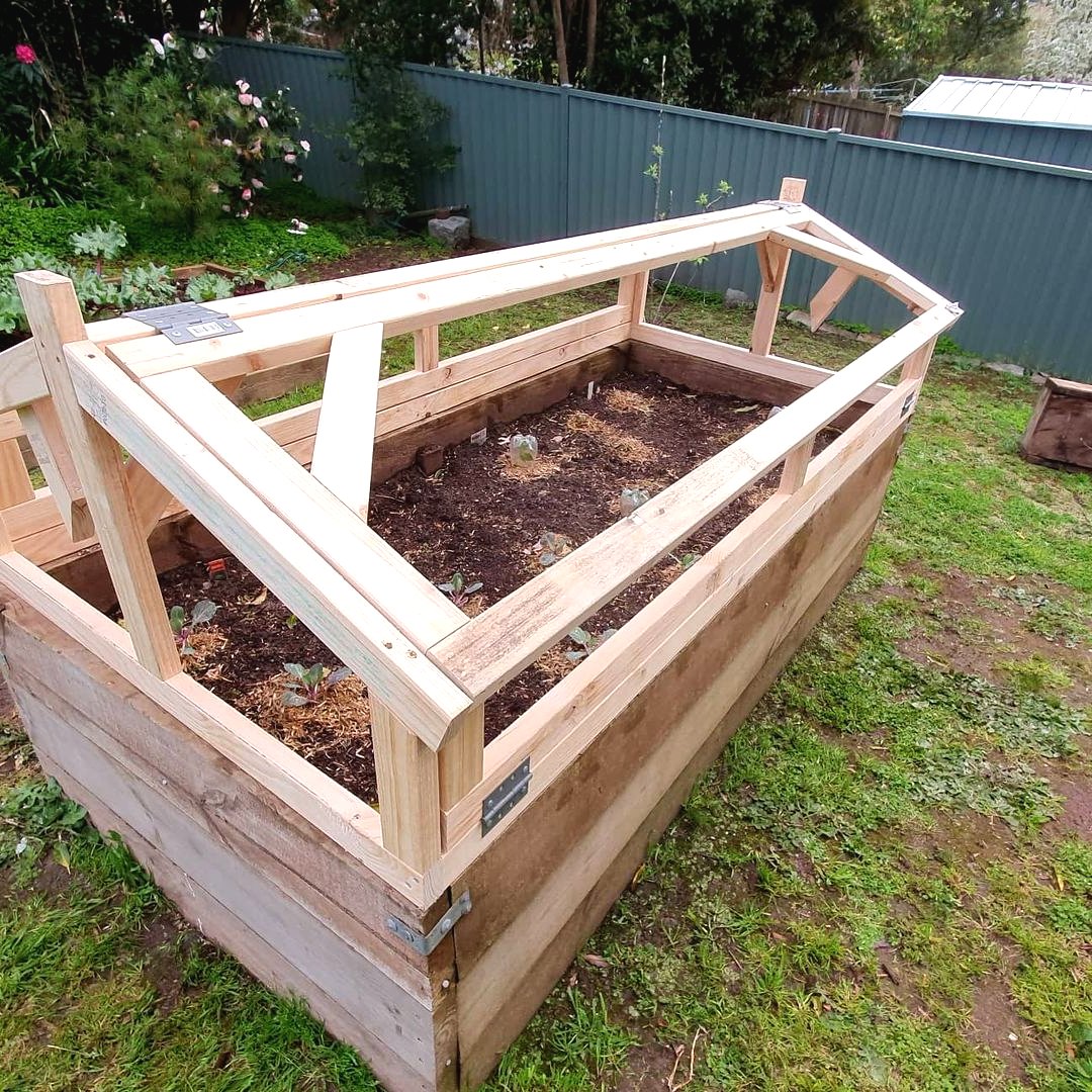 Высока грядка с защитой от улиток - фото 7