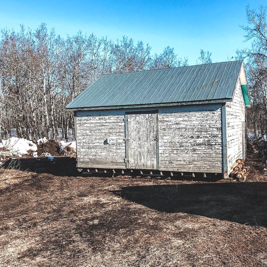 Хижина в лесу - фото 2