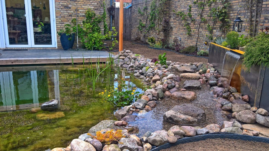 Бассейн + пруд - фото 20