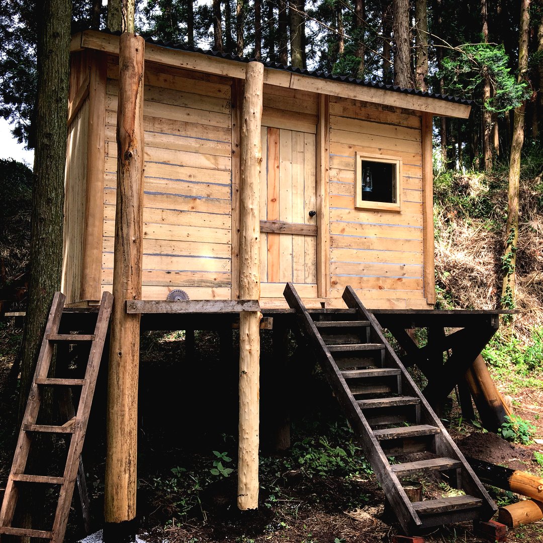 Хижина в лесу на деревянных столбах - фото 20