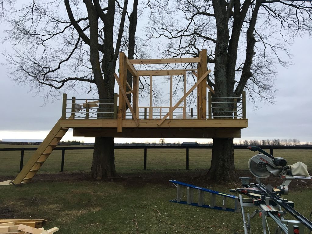 Крутой дом на дереве - фото 9