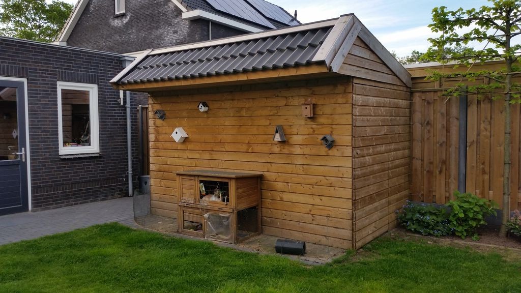 Дачный сарай - фото 2